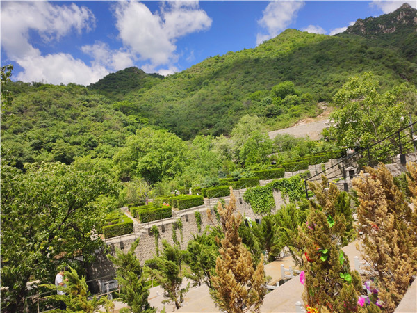 九公山长城纪念林介绍