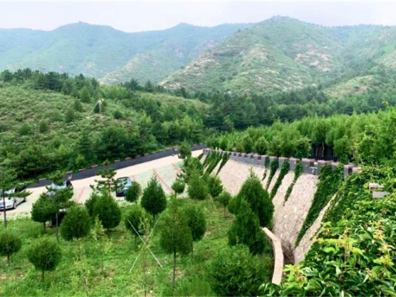 九龙山陵园