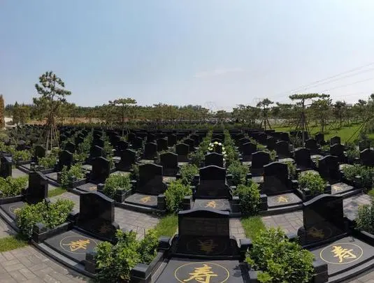 微信图片_202304011125335.png