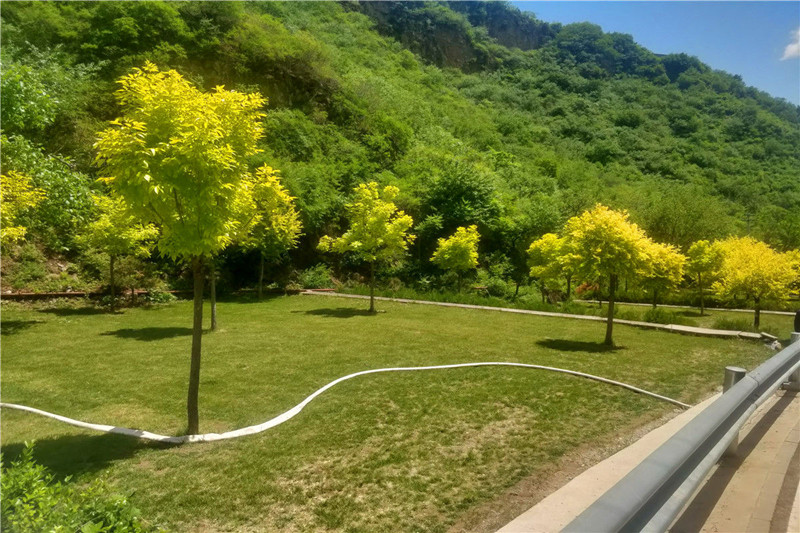 九公山陵园绿化环境