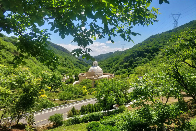 陵园绿化