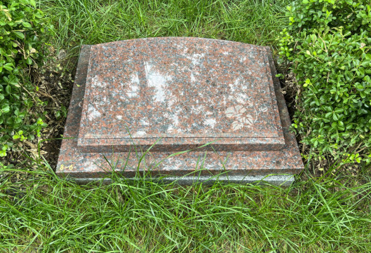 6a26805e84e55.jpg